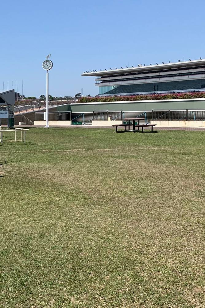 The grandstand at Nakayama Racecourse seen across the open lawn